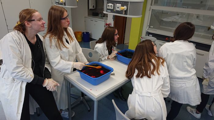 2020 02 20 ch batik teaser